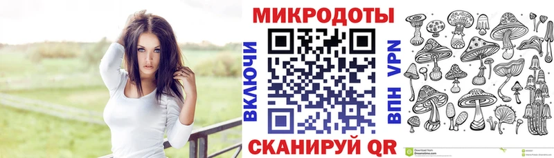 Галлюциногенные грибы Cubensis  Кашин 
